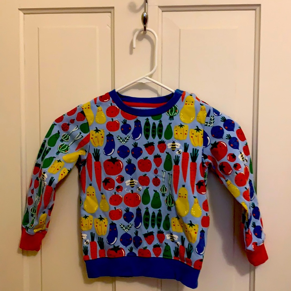 Baby Boden Cosy Sweatshirt Winter Sky Garden Gang 3T 4T NWOT